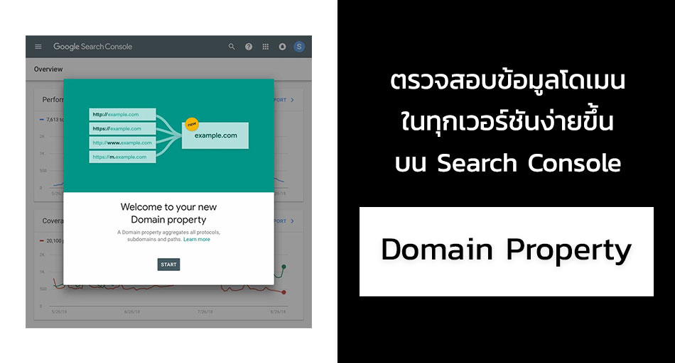 Search Console Domain Property